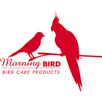 Morning Bird
