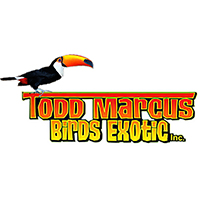 Todd Marcus Birds Exotic